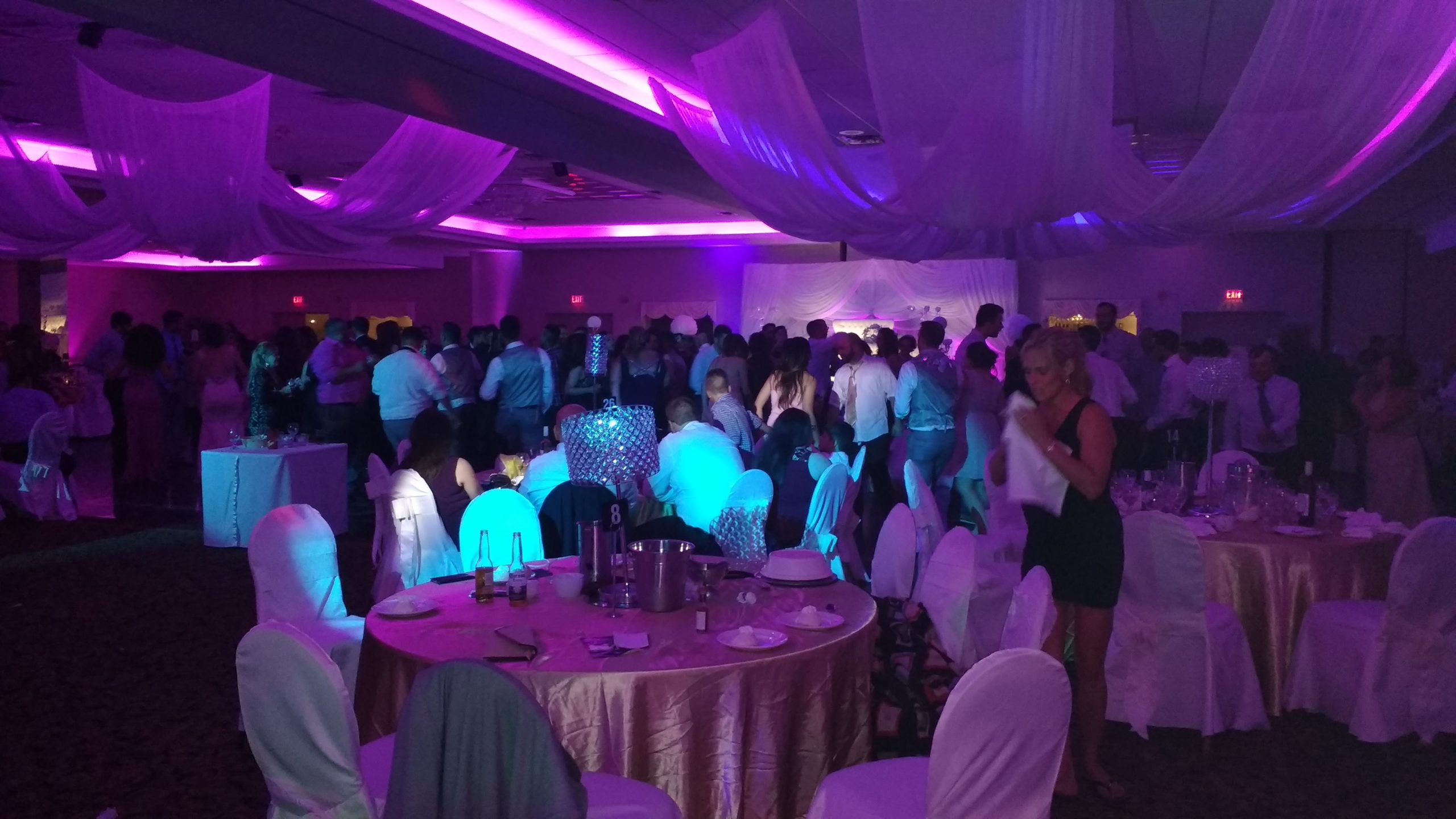 Read more about the article Professionalism and Reliability: The Key Traits of a Great Wedding DJ