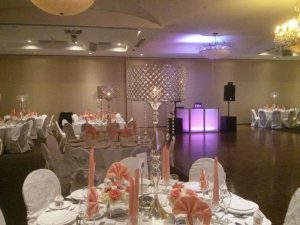Toronto’s Best Wedding & Corporate DJ for events in Mississauga, Toronto & GTA EliteDJ102 300x225 - Toronto’s Best Wedding & Corporate DJ for events in Mississauga, Toronto & GTA